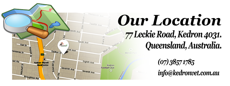 Kedron Vet Location Image