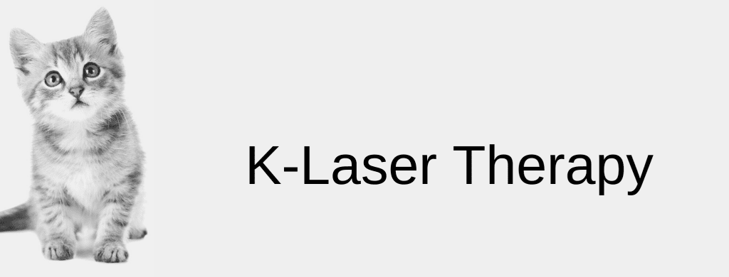 K Laser Dog and Cat Therapy
