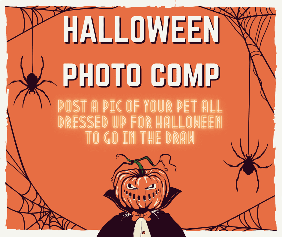 Halloween Pet Costume Competition
