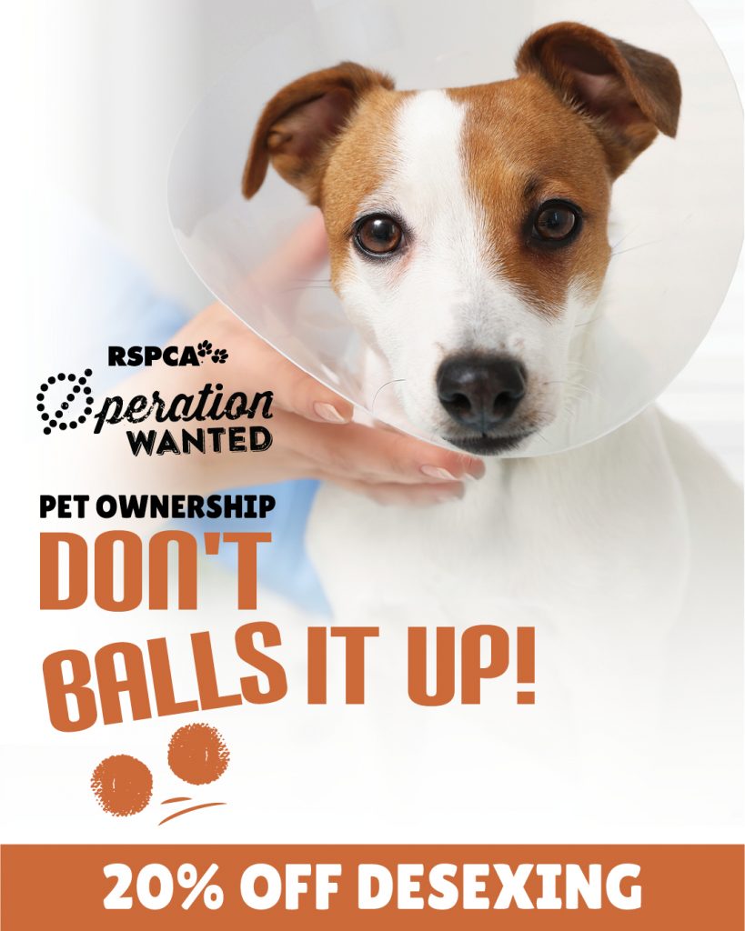 Operation Wanted RSPCA 20% off desexing